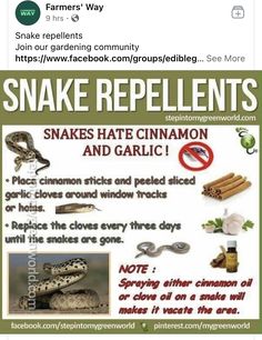 snake repellents are the most common pests for snakes and other animals in the world