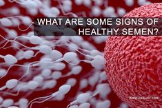 What Are Some Signs Of Healthy Semen? Healthy semen is an indicator of good sexual and physical health. Needless to say that the risk of developing infertility and a variety of other reproductive ailments is also low if your semen is high quality. Low Sperm Count, دورة شهرية, Fertility Testing, Chances Of Getting Pregnant, Male Fertility, In Vitro Fertilization, Medical Studies, Hormone Replacement