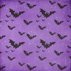 Nightfall - HSD Photography Backdrops Colorful Halloween Aesthetic, Goth Purple Aesthetic, Purple Spooky Wallpaper, Dark Purple Halloween Wallpaper, Purple Halloween Aesthetic, Background Keyboard, Halloween Backgrounds Purple, Bat Phone Background, Colorful Goth