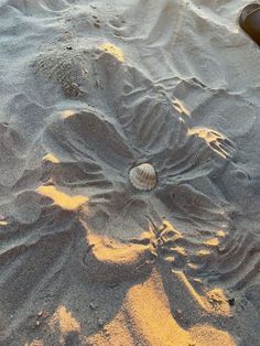 a person's feet are in the sand near a shell