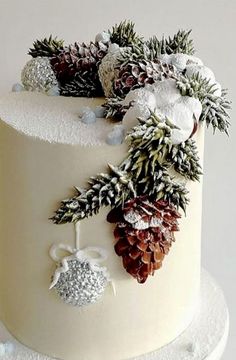 a white frosted cake with pine cones and snowflakes