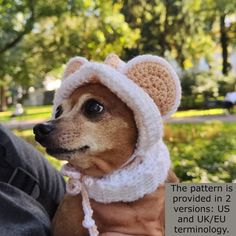 a small dog wearing a knitted bear hat and scarf with the caption, the pattern is provided in 2 versions us and uk / eu terminology