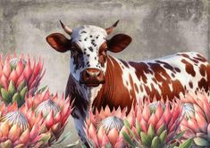 a painting of a brown and white cow standing in front of pink proteats