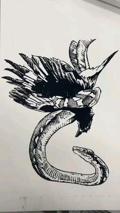 a black and white drawing of a snake with feathers on it's back end