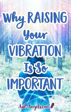 a person sitting in the woods with text reading why raising your vibration is so important