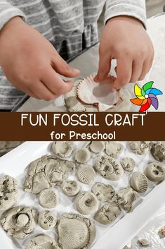 kids are making fossil craft for preschool with shells on the tray and text overlay that reads fun fossil craft for preschool