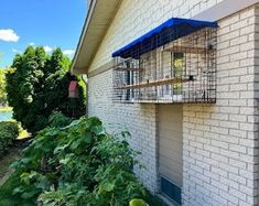 a bird cage on the side of a building