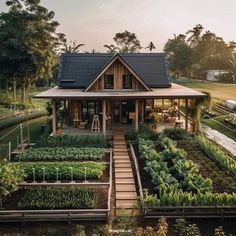 a house with lots of plants in the front yard and stairs leading up to it