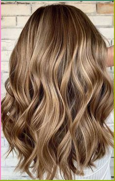 Balage Highlights Brunette, Hair Color Ideas Pale Skin Blue Eyes, Low Lights For Reddish Brown Hair, Bronze Blonde Hair Color, Baby Lights Light Brown Hair, Bronde Haircolor 2023, Hair Color Ideas For Brunettes Over 40, Warm Light Brown Hair With Highlights, Light Warm Brown Hair Color