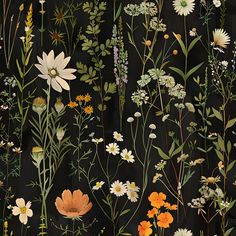 an assortment of wildflowers and grasses on a black background