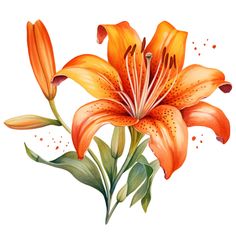 an orange flower with green leaves and watercolors on it's petals is shown