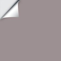 the corner of a piece of white paper with a curled edge on a gray background