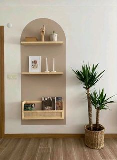 a potted plant sitting on top of a wooden shelf next to a book shelf