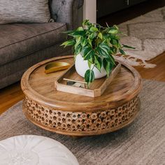 a potted plant sitting on top of a wooden table in front of a couch