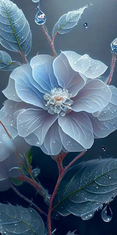 a blue flower with water droplets on it