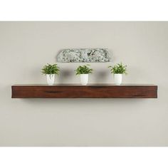 three potted plants sit on top of a wooden shelf above a wall mounted sign