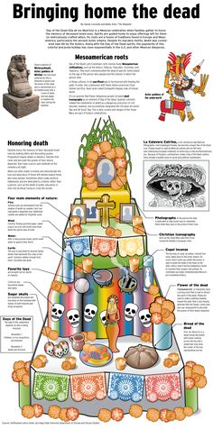 a diagram showing the different types of food