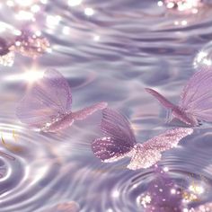 two purple butterflies floating in water with bubbles and sparkles on them'wings are reflected in the water