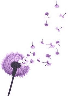 a dandelion blowing in the wind on a white background with purple hues