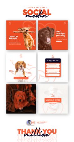 an orange and white website design with dogs on the front, back and side panels