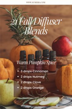 Essential oil diffuser for fall set on a kitchen counter, adding cozy autumn scents to the space with seasonal decor around it. House Scents, Pot Potpourri, Essential Oil Usage, Fall Essential Oils, Fall Diffuser Blends, Autumn Spirit, Fragrance Blends