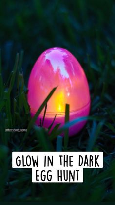 a glowing pink ball sitting in the grass