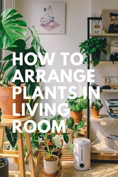 there are many houseplants and plants in the living room with text that reads, you can never have too many plants