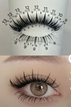 Eyelash Transplant Model, Lash Mapping Eyelash Extensions Wispy, Gaun Tulle, Manga Lashes