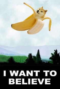 a dog flying through the air with a banana in it's mouth that says i want to believe