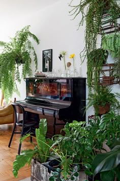 a living room filled with lots of plants next to a black piano and some chairs