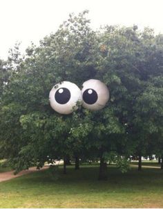 an eyeballed tree with eyes on it's branches in the middle of a park