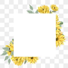 yellow sunflowers with green leaves on the bottom and white paper in the middle