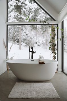 a large white bath tub sitting under a window next to a rug and potted plant