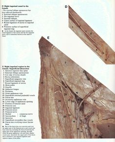 an image of some wood that is cut in half and labeled with numbers on it