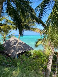 palm trees and thatched huts overlook the ocean