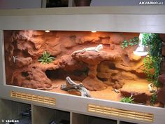 an aquarium with rocks and plants in it