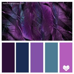 purple and blue color scheme with feathers