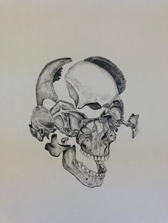 a drawing of a human skull with bones and other things on it's face