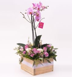 a flower arrangement in a wooden box on a white background with pink and white flowers