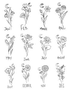 twelve months of the year with flowers in black and white ink on a white background