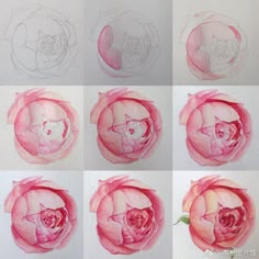 the process of drawing a flower with pastel pencils