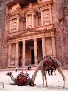 a man walking with a camel in front of a large building that looks like it is built into the side of a mountain