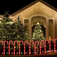 christmas lights decorate the front yard of a house