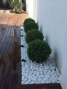 a small garden with rocks and plants in the ground next to a building on a wooden deck