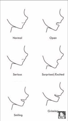 different types of nose shapes and how to use them for the correct part of your face