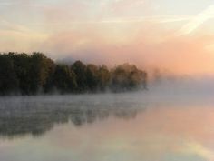 fog is covering the water and trees in the distance