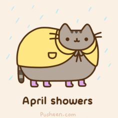 an image of a cat that is in the rain