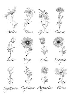 an image of zodiac signs and flowers