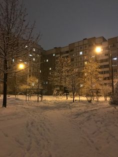 snow covered ground in front of buildings and trees with street lights on at night time