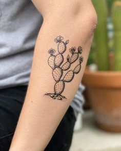 a small cactus tattoo on the arm